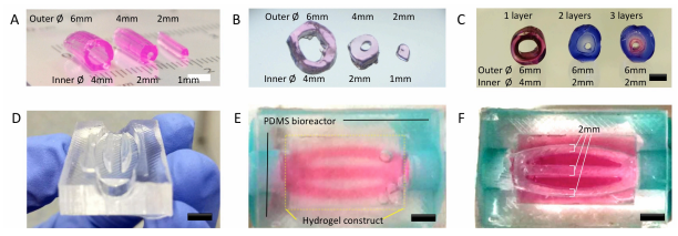 如何使用低成本桌面3D打印機創建血管結構 如何使用低成本桌面3D打印機創建血管結構